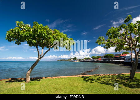 Vista di Lahaina di Front Street, Maui, Hawaii Foto Stock