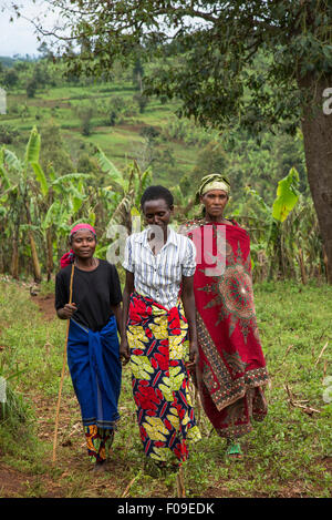 Genocidio vedove caffè collettivo, il lago Kivu, Ruanda Foto Stock