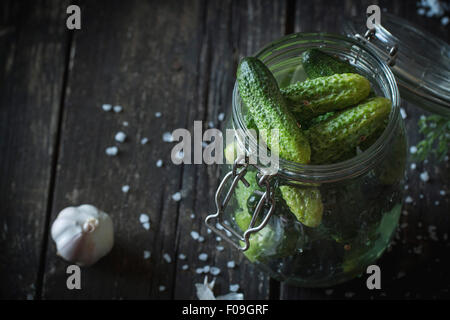 Il vasetto di vetro con fresco a basso sale cetrioli sottaceto. Su tavoli in legno nero con cosparso sale marino e aglio. Scuro in stile rustico. Foto Stock