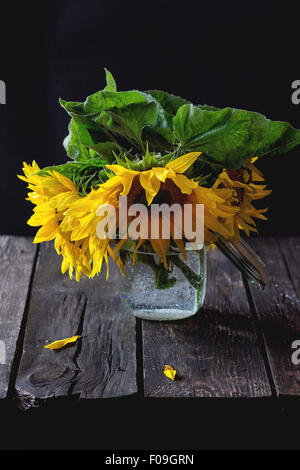 Bouquet di girasoli in un barattolo di vetro sopra il vecchio tavolo in legno. Scuro in stile rustico. La luce naturale del giorno. Foto Stock