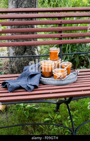 Chutney di albicocche vasetti sul vassoio vintage con il grigio asciugatutto sulla panchina da giardino Foto Stock