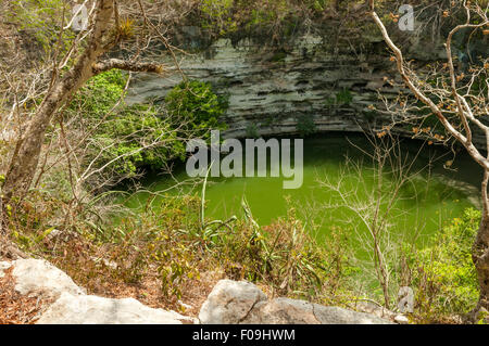 Cenote Sagrado, Chichen Itza, Messico Foto Stock