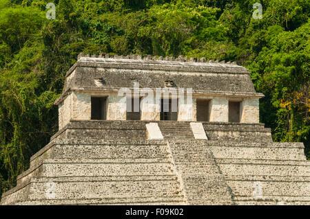 Tempio di iscrizioni, Palenque, Messico Foto Stock