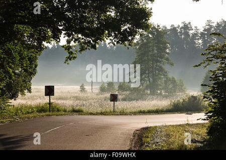 Vista della strada a Warmia-Masuria nei pressi di Mikolajki sentiero forestale in Polonia Foto Stock