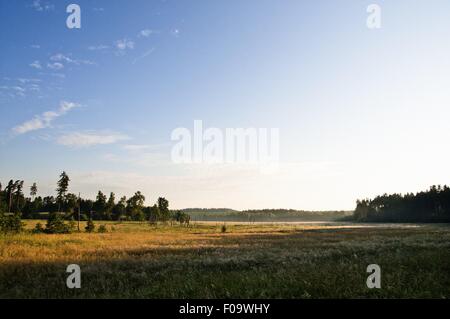 Vista del prato di Warmia-Masuria nei pressi di Mikolajki sentiero forestale in Polonia Foto Stock