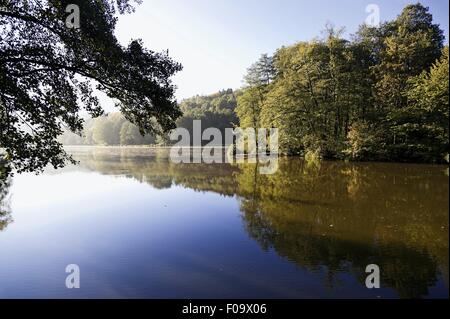 Vista di Wurzbacher stagno in Niederwurzbach, Blieskastel, Saarland, Germania Foto Stock