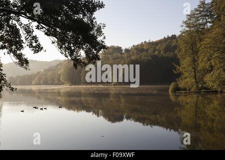 Vista di Wurzbacher stagno in Niederwurzbach, Blieskastel, Saarland, Germania Foto Stock