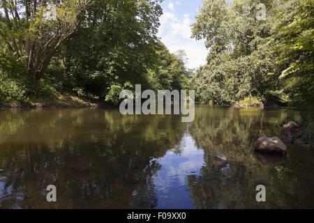 Vista di Wurzbacher stagno in Niederwurzbach, Blieskastel, Saarland, Germania Foto Stock