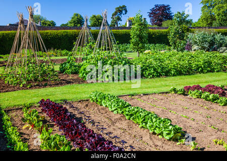 L'orto in giardini murati di Bowood House nel Wiltshire. Foto Stock