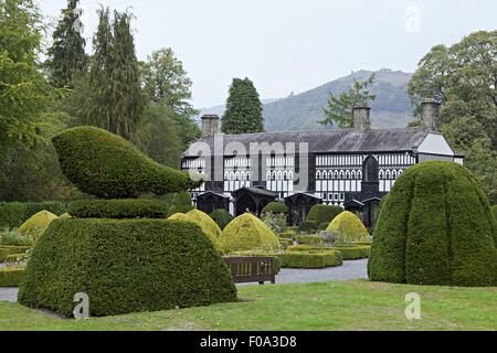 Vista di topiaria da nel giardino di Plas Newydd Museum, Llangollen, Denbighshire, Galles Foto Stock