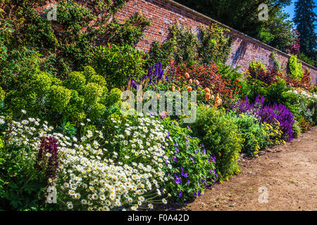 Confine erbacee in il giardino murato di Bowood House nel Wiltshire. Foto Stock