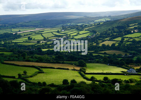 Valle di spazzamento giù attraverso Widecombe-nel-Moor Dartmoor, verdi campi e siepi con alberi fanno una bella vista del paese Foto Stock