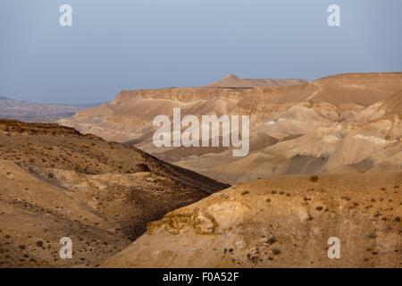 Vista di Wadi Hawarim nel Negev, Israele Foto Stock