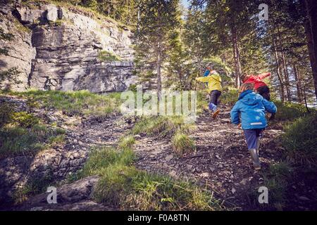 Gruppo di bambini nella foresta, a camminare in salita, vista posteriore Foto Stock