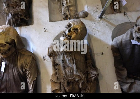Corpi in CATACOMBES,PALERMO,Sicilia,Italia Foto Stock