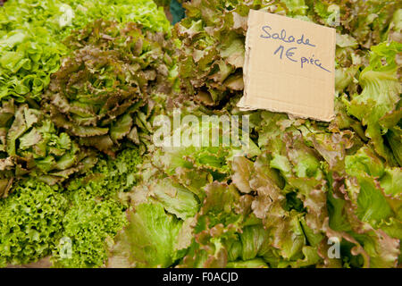 Tradizionale mercato francese di stallo con lattuga su display, Issigeac, Francia Foto Stock