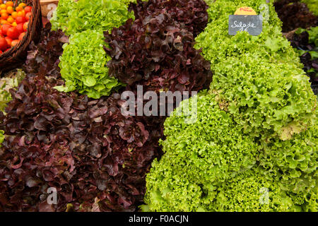 Tradizionale mercato francese di stallo con lattuga su display, Issigeac, Francia Foto Stock