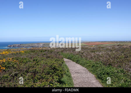 Lungo la costa sud occidentale percorso sopra BEDRUTHAN. CORNWALL REGNO UNITO. Foto Stock