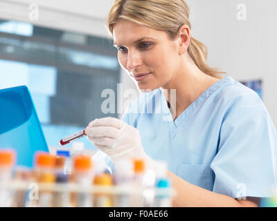 Ricercatore medico la visualizzazione dei dati su un computer per un campione di sangue durante il test Foto Stock