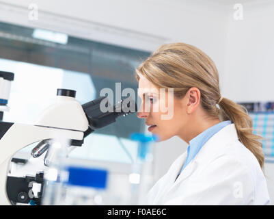 Visualizzazione dello scienziato campione sul vetrino di vetro attraverso il microscopio per test medici Foto Stock