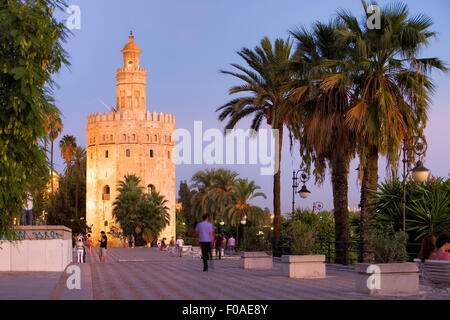 Torre del Oro,Gold tower,Sevilla,Andalucia,Spagna Foto Stock