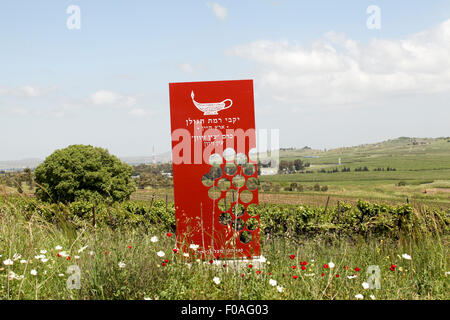 Segno rosso delle alture del Golan winery di Ein vigna Zivan Foto Stock