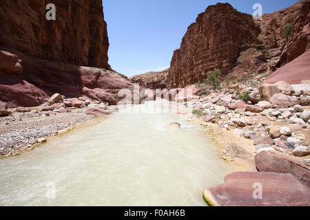 Wadi Zered (Wadi Hassa o presentauna) nella parte occidentale del Giordano. Una pietra arenaria canyon con esecuzione di fresca acqua. Che fluisce nel Mar Morto Foto Stock