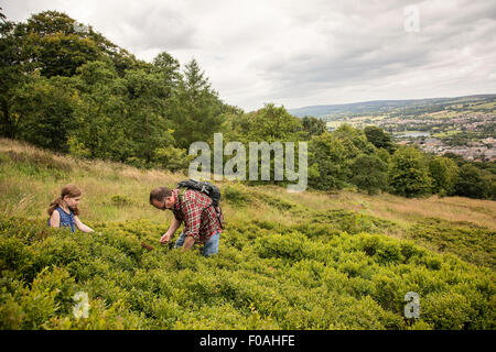 Un padre e figlia di trascorrere un pomeriggio in Estate il prelievo di mirtilli, Otley chevin Foto Stock