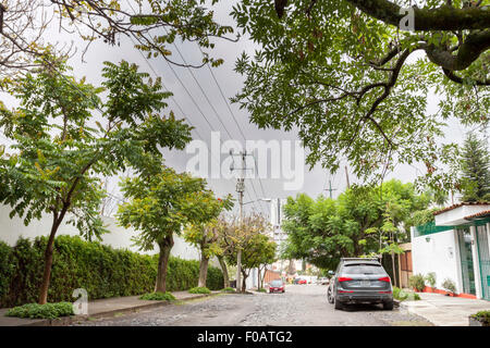 Gli angoli della città con sorprendente con vecchi alberi. Guadalajara, Jalisco. Messico Foto Stock