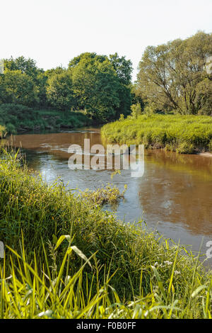Czarna Nida fiume da Tokarnia open-air museum, Polonia Foto Stock