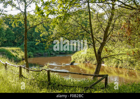 Czarna Nida fiume da Tokarnia open-air museum, Polonia Foto Stock