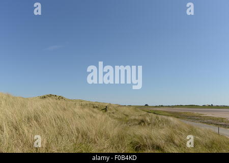 Punti lungo il LINDISFARNE Causeway, vicino BAMBURGH, Northumberland Foto Stock