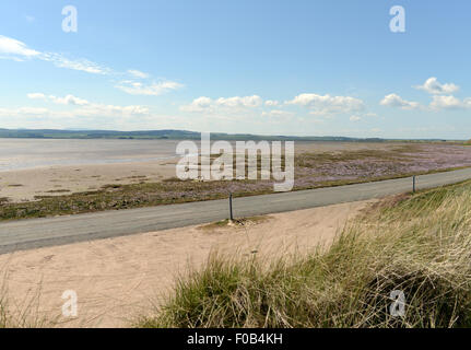 Punti lungo il LINDISFARNE Causeway, vicino BAMBURGH, Northumberland Foto Stock