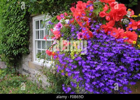 Nei cestini appesi telaio porta ad un tradizionale cottage in pietra nel Peak District, Derbyshire, Regno Unito Inghilterra in estate Foto Stock