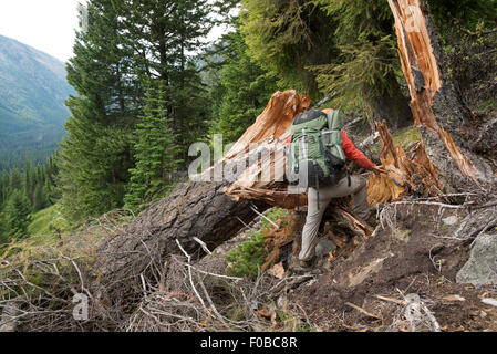 Backpacker eseguendo la manovra di un albero caduto in Oregon Wallowa della montagna. Foto Stock