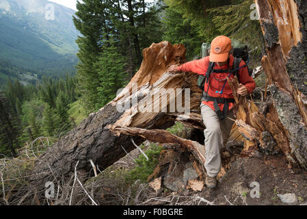 Backpacker eseguendo la manovra di un albero caduto in Oregon Wallowa della montagna. Foto Stock