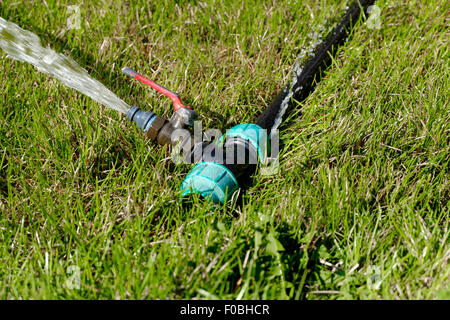 Hefty sprinkler acqua lavorando su erba verde, copyspace Foto Stock