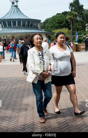 I turisti a piedi attraverso Bournemouth shopping centre in chat e camminare insieme. Foto Stock