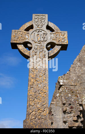 Croce di pietra e di Athenry convento domenicano dettaglio,trovata a 1241, Foto Stock