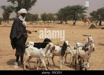 BANDIAGARA, MALI - 30 settembre 2008: Non identificato pastore africana con le sue pecore in bandiagara nella regione di Mopti in Mali Foto Stock