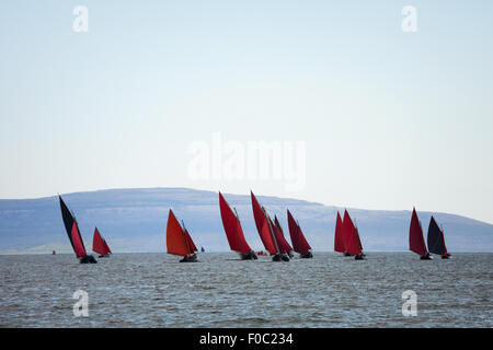 Tradizionali barche di legno Galway Hooker, con il red sail, competere in regata. L'Irlanda. Foto Stock