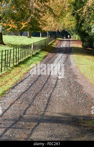 Una via che conduce attraverso Wallington House Gardens nel nord-est dell' Inghilterra, Regno Unito. Foto Stock