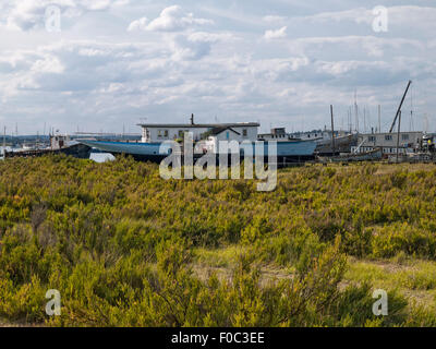 Case galleggianti sul litorale a West Mersea. Mersea Island. Essex. In Inghilterra. Regno Unito. Foto Stock