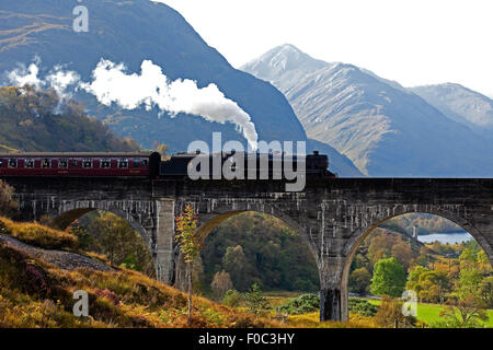 Giacobita treno a vapore, attraversando il viadotto Glenfinnan, Lochaber, Scozia UK, Europa locomotore: 44871 Foto Stock