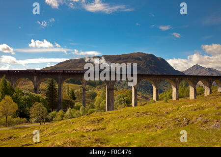 Giacobita treno a vapore, viadotto Glenfinnan, Lochaber, Scotland, Regno Unito Foto Stock