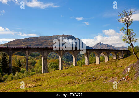 Giacobita treno a vapore, viadotto Glenfinnan, Lochaber, Scotland, Regno Unito Foto Stock