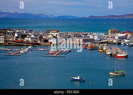 Porto di Mallaig, Lochaber Scotland Regno Unito Foto Stock