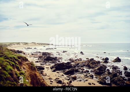 Vista della costa rocciosa, Big Sur, CALIFORNIA, STATI UNITI D'AMERICA Foto Stock