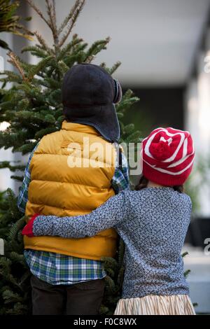 Ragazzo e una ragazza che trasportano albero di natale Foto Stock