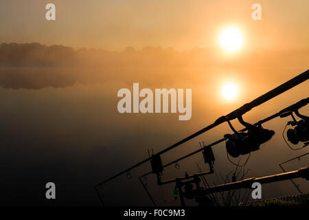 La pesca alla carpa in una nebbiosa lago a sunrise nel centro della Francia. Le aste sono pronti per la cattura del pesce. Foto Stock